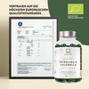 Organic Spirulina Powder and Chlorella Algae Capsules - [1800 mg]