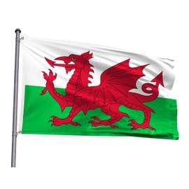 Wales Flag 4x6FT Welsh National Polyester Flag With 2 Grommets For Patriotic Welsh Themed Festival Events Party Decoration (Wales, 4x6FT)