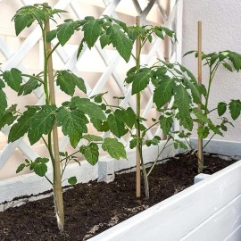 BOVITRO Plant Stakes,18 Inches Natural Garden Bamboo Sticks,BOVITRO 20Pcs Plant Support