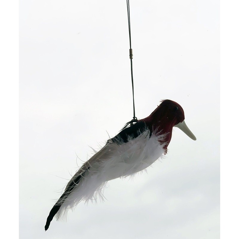 Generic Kill Chirp Trap Bait Digital Caller - Master Trappers