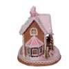 Kurt S. Adler 9-Inch LED Lights Gingerbread House, Multi