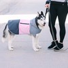 Eddie Bauer E24232XS Ravenna Colorblocked Dog Windbreaker Jacket in Extra