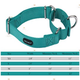 Mikivery Martingale Dog Collars Nylon Adjustable and Safety Choke Training Teal Comfortable Pet Collar for Medium and Large Dogs