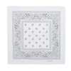 Laciteinterdite Set of 3 Paisley Bandanas for Men and Women,