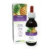Pineapple (Ananas comosus or A. sativus) Stems of Fruits Alcohol-Free