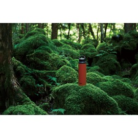 Tiger Water Bottle, 28.7 fl oz (800 ml), Lightweight, Stainless Steel Bottle, Mountain Climbing, Autumn Leaves, Uluru MCZ-S080TE