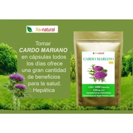 Cardo Mariano 1,000 Cápsulas