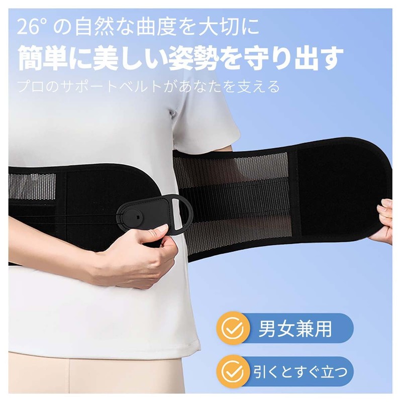 プロ用 腰椎保護ベルト 荷重作業支援 抗菌吸汗素材 (こくしょく, L)