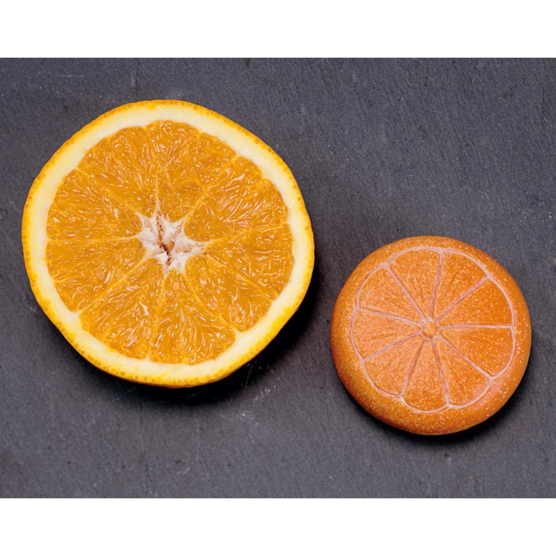 Yellow Door Durable Stone Fruit Set for Kids Role Play