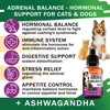 Adrenal Balance for Dogs and Cats - Cushings Treatment for