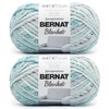 Bernat Blanket BB South Seas Yarn - 2 Pack of