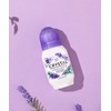 Crystal Lavender Roll-On 66ml 2ea