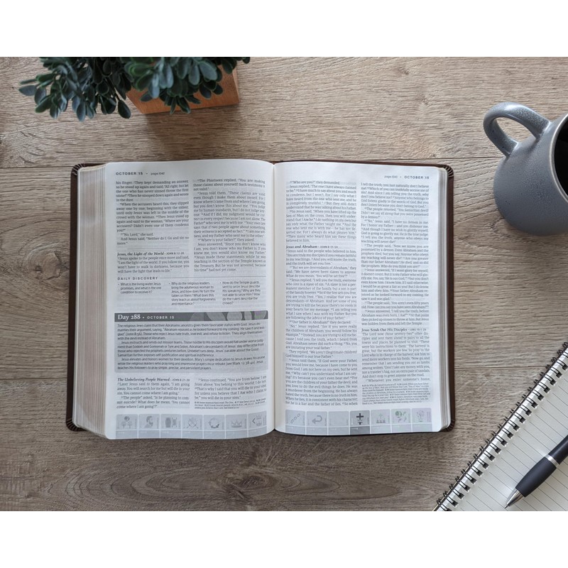 NLT One Year Chronological Study Bible (LeatherLike, Rustic Brown)