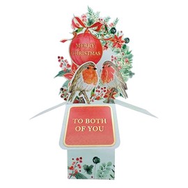 Clever Cubes Pop Up Both of You Robins Merry Christmas Card 3D Xmas Card XCU004A