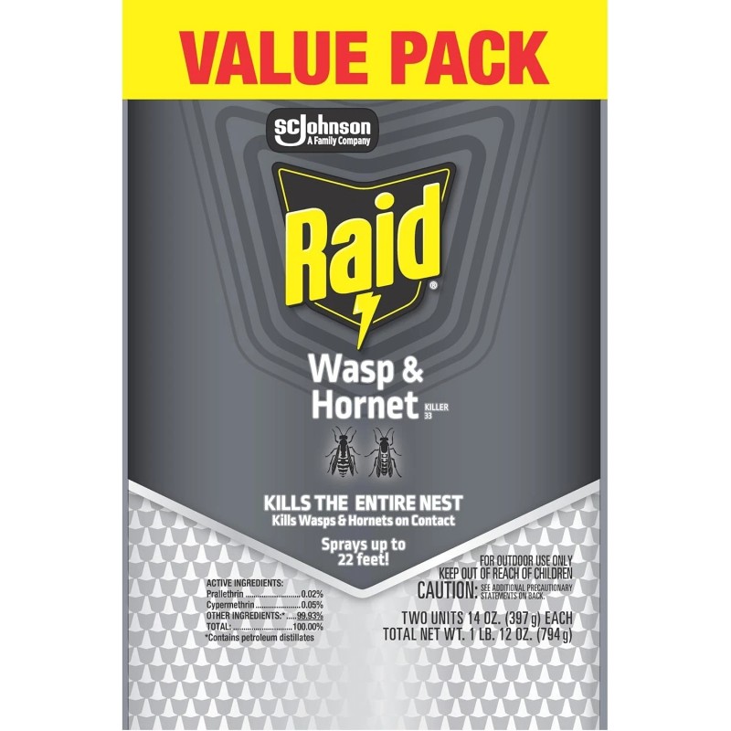 Raid Wasp & Hornet Killer Spray, Bug Killer Kills best