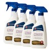 Guardsman Stain & Odor Eliminator