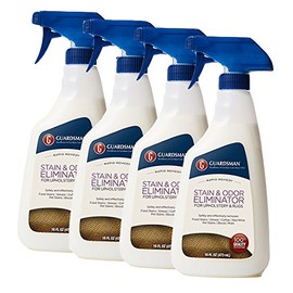 Guardsman Stain & Odor Eliminator