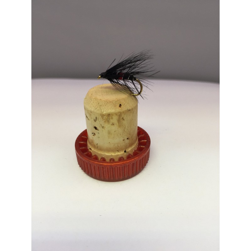 BestCity Fly Fishing Bibio Selection 16 Wet Flies with FREE