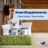 SmartPak SmartDigest Ultra Paste Digestive Health and Support Horse Supplement