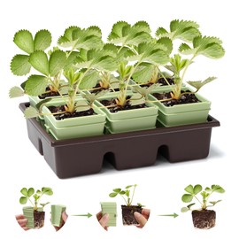 Green Bazzar Side-Open Seed Starter Tray 4-Pack, 24 Cells Modular Design with Detachable Plant Cells, Extra-Large 2.36"x2.28" Cells, Reusable Seed Germination Kit for Indoor & Outdoor Gardening