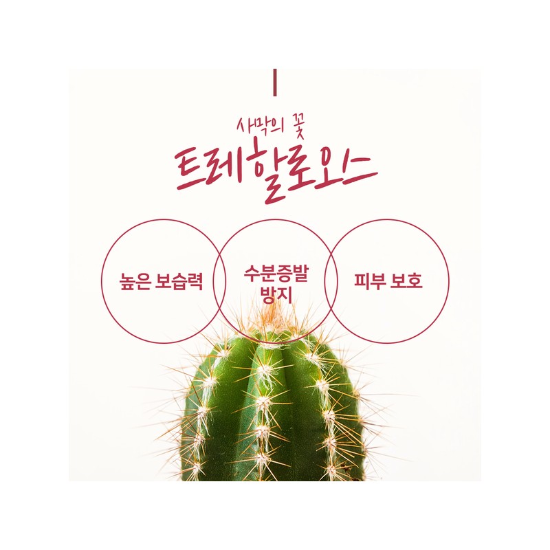(에이스킨)에이스킨 수딩 모이스처라이징 젤 50ml (Aceskin) Aceskin Soothing Moisturizing Gel