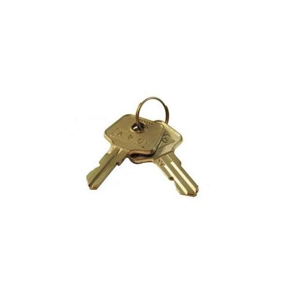 APG VPK-8K-542 VASARIO A542 KEYS
