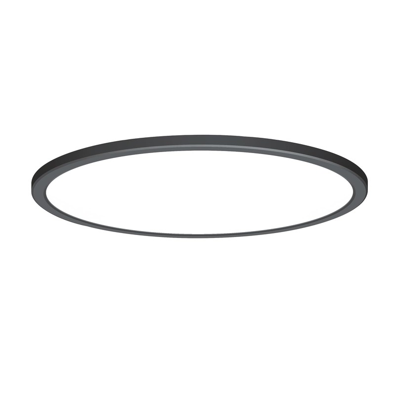 BLNAN LED Flush Mount Ceiling Light with Remote Control, 12