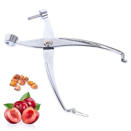 Cherry Olive Pitter Tool Metal Kitchen Utensils Hawthorn Tool Red Date Pit Remover Metal Upgraded Core Remover Fruit Tools Novel Cherry Pear Corer Pitter Kitchen Gadgets Silver (1)