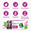 Phytohustil Hustenreizstiller Pastillen, 20 pcs