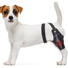 Dog Knee Brace for Back Leg Fit Large Middle Small