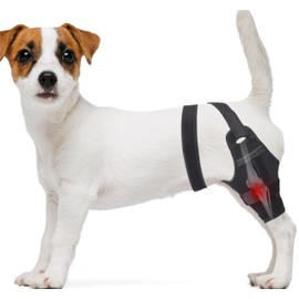 Dog Knee Brace for Back Leg Fit Large Middle Small Dogs Strong Support Adjustable Dog Leg Braces with 2 Metal Strips for Hip Dysplasia, ACL, CCL, Ligament Injuries & Osteoarthritis (Left Leg, M)
