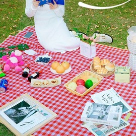 Portable PVC Aesthetic Picnic Mat - 150x200cm Check Yellow 150X200