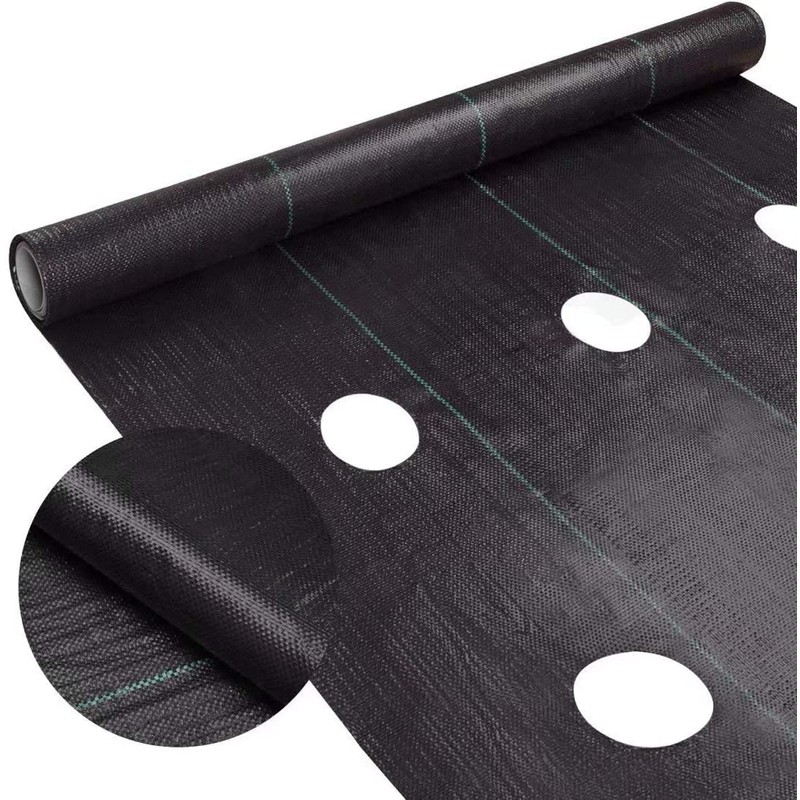 Agfabric Weed Barrier Landscape Fabric 4x6ft with Planting Holes, Hole