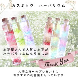 Lira Preserved Flowers, Flower Language, Gratitude, Herbarium Grass, Made in Japan, Height 8.5 inches (21.5 cm), Cylindrical Shape, Present, Gift, Mother's Day, Celebration (Cool Blue)