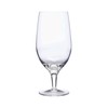 Luigi Bormioli Michelangelo Masterpiece 19.25 oz All Purpose Glasses -