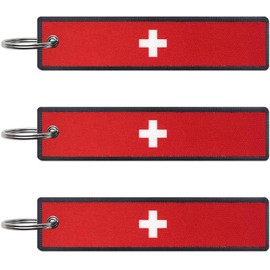 JAVD - Llavero de bandera de Suiza con llavero, llaveros, coches, motocicletas, mochilas, equipaje y regalos, EDC (paquete de 3), Verde, Medium