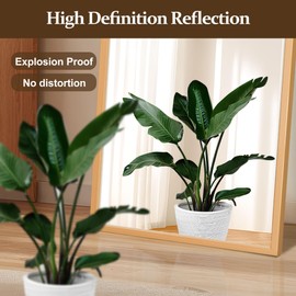 FURNIinspire Full Length Mirror, 71"x32" Full Body Mirror Wall-Mounted or Freestanding, Modern Standing Mirror for Bedroom, Living Room, or Cloakroom, Shatterproof, Easy Assembly