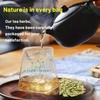 Natural Senna Leaves Hoja Sen Dried Herbal Leaves, Senna Raw