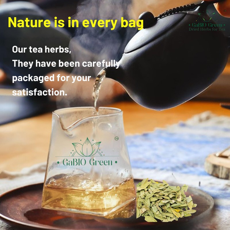 Natural Senna Leaves Hoja Sen Dried Herbal Leaves, Senna Raw