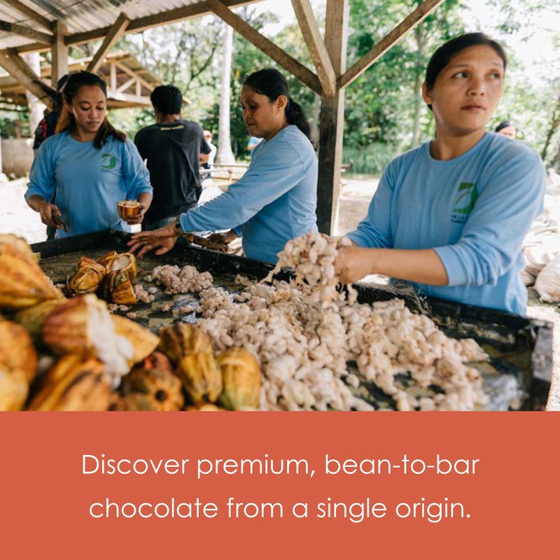 Auro 42% Milk Chocolate 3 Pack - Filipino Chocolate -