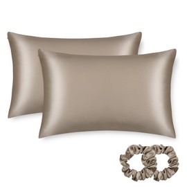 ALASKA BEAR Silk Pillowcase for Hair and Skin, Set of 2 Pure Genuine 22 Momme Mulberry Silk Pillow Cases Standard Size for Bliss Sleep Better Than Poly Satin, Zipper Closure(2pc, Taupe)