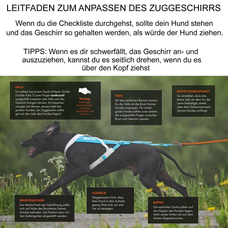 Non-stop dogwear FREEMOTION Harness 5.0 |111| Dog Harness for All