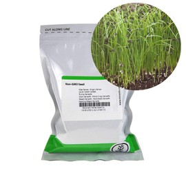 Garlic Chives Herb Garden Seeds - 1 Oz - Non-GMO, Perennial Herbal Gardening & Microgreens Seed - Allium tuberosum