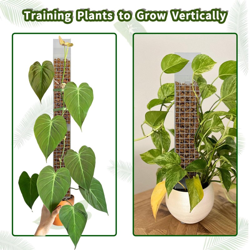 HYYZ 2PCS 18.7-Inch D-Shaped Self-Watering Moss Pole - Plastic Monstera