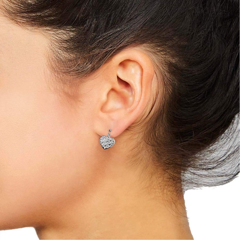 Fossil JFS00489040 Ladies Earrings