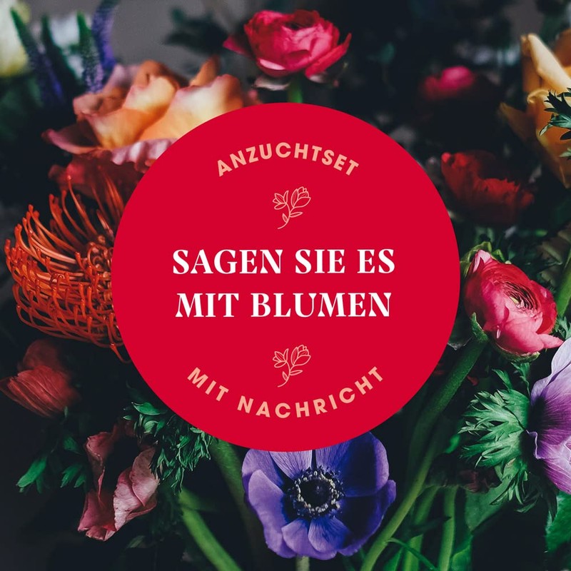 Resetea Growing Set Happy Birthday, Levkojen, St. John's Wort and