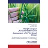 Morphological Characterization and Assessment of D2 in Bread Wheat: Morphological