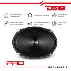 DS18 PRO-SM69.2 6x9 Shallow Water Resistant Cone Mid-Range Loudspeaker 500W Max Power, 250W RMS, 2 Ohms - Perfect for Motorcycle Applications (1 Speaker), Black (Renewed)