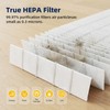FMDZFL AP400 Replacement Filter Compatible with SIESEAN AP400 Air Purifier,