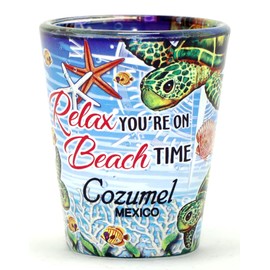 Cozumel Mexico Turtle Relax In and Out Shot Glass